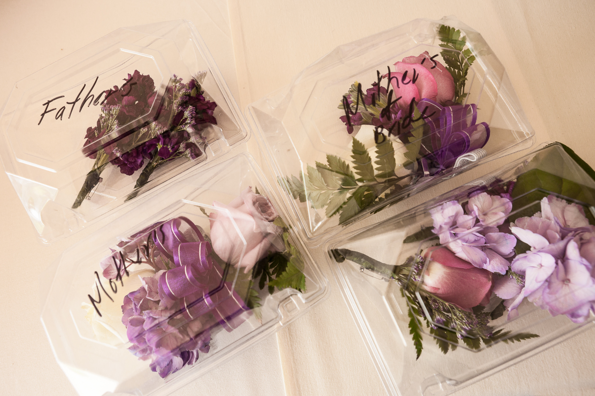 Destination Wedding California